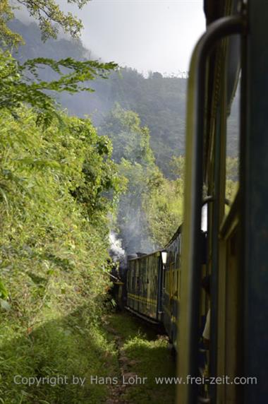 Nilgiri-Blue-Mountain-Train, Mettupalayam - Coonoor_DSC5394_H600